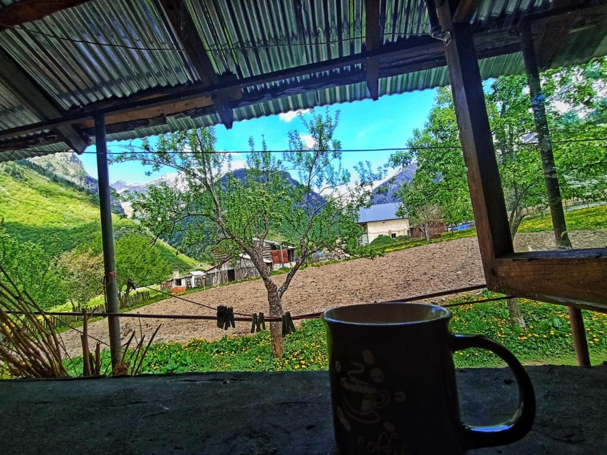 Guesthouse Mamuka Zhabesh Zhabeshi 외부 사진