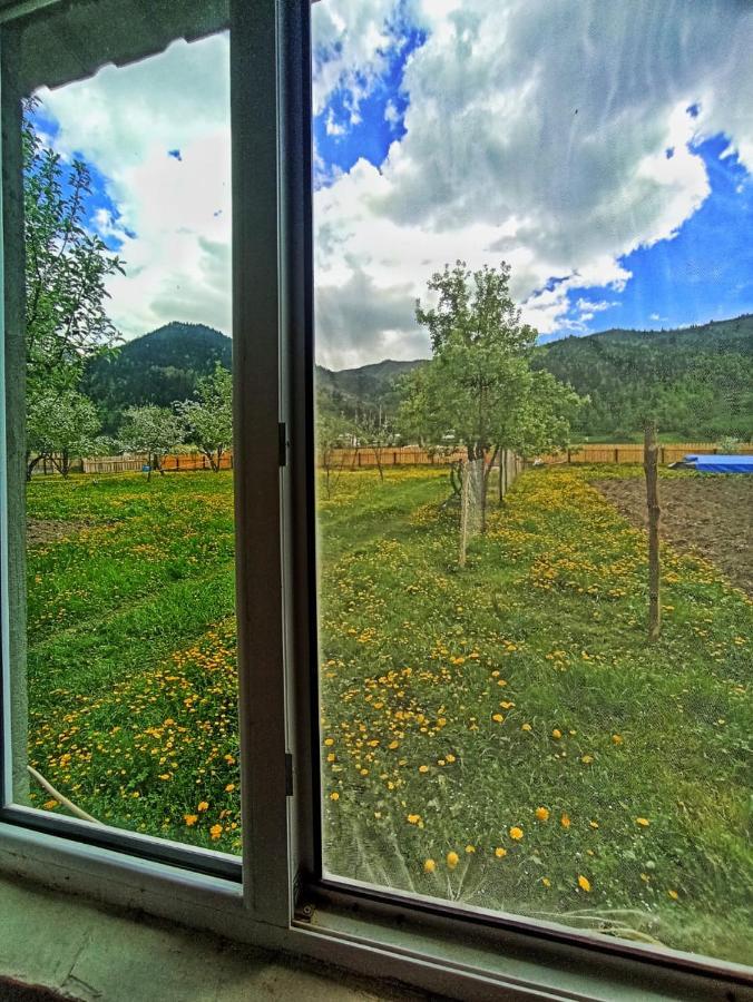 Guesthouse Mamuka Zhabesh Zhabeshi 외부 사진