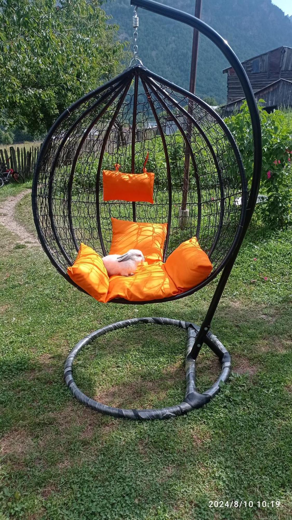 Guesthouse Mamuka Zhabesh Zhabeshi 외부 사진