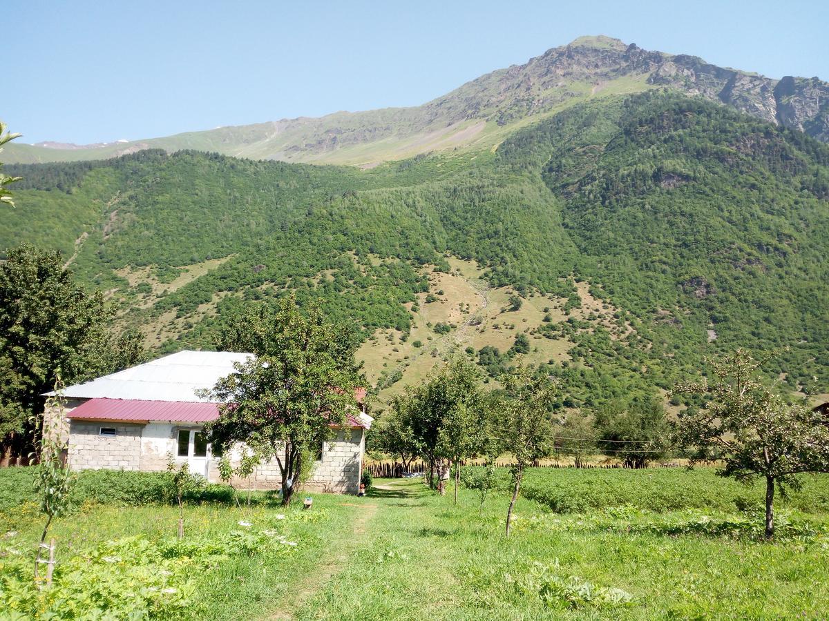 Guesthouse Mamuka Zhabesh Zhabeshi 외부 사진