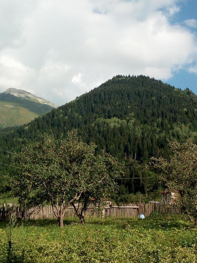 Guesthouse Mamuka Zhabesh Zhabeshi 외부 사진